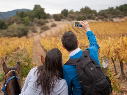 Tours para Parejas en la Ruta del Vino: Una Experiencia Inolvidable