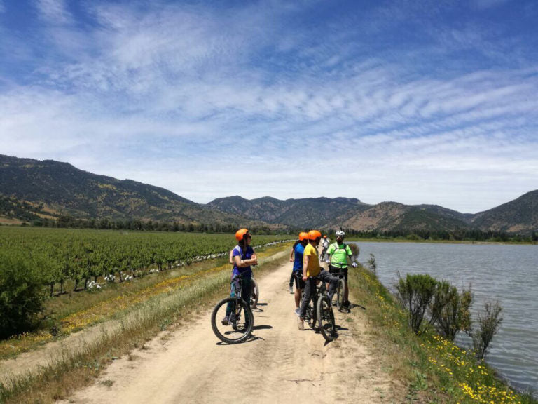 Paseo por el viñedo en Bicicleta