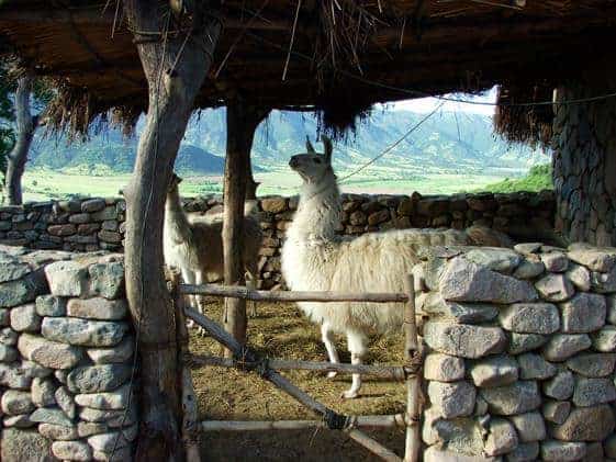 Paseo en Teleférico & Cerro de las Culturas