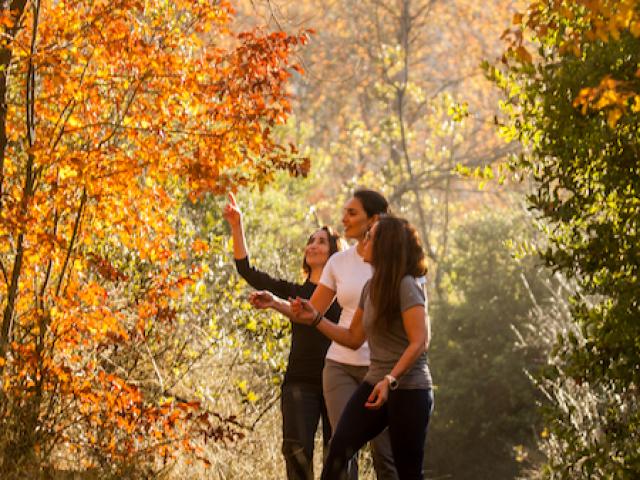 Trekking En Reserva Natural De Apalta