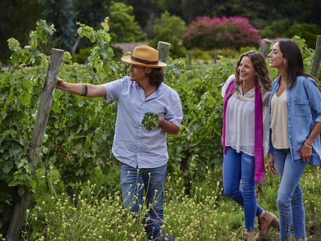 Tour Y Degustación Neyen