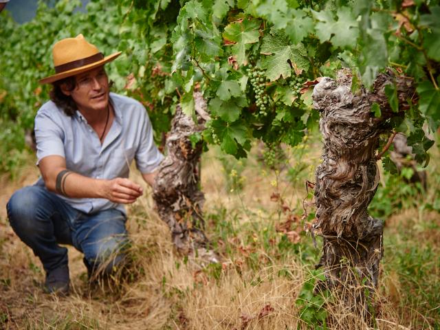 Tour y Degustación Apalta